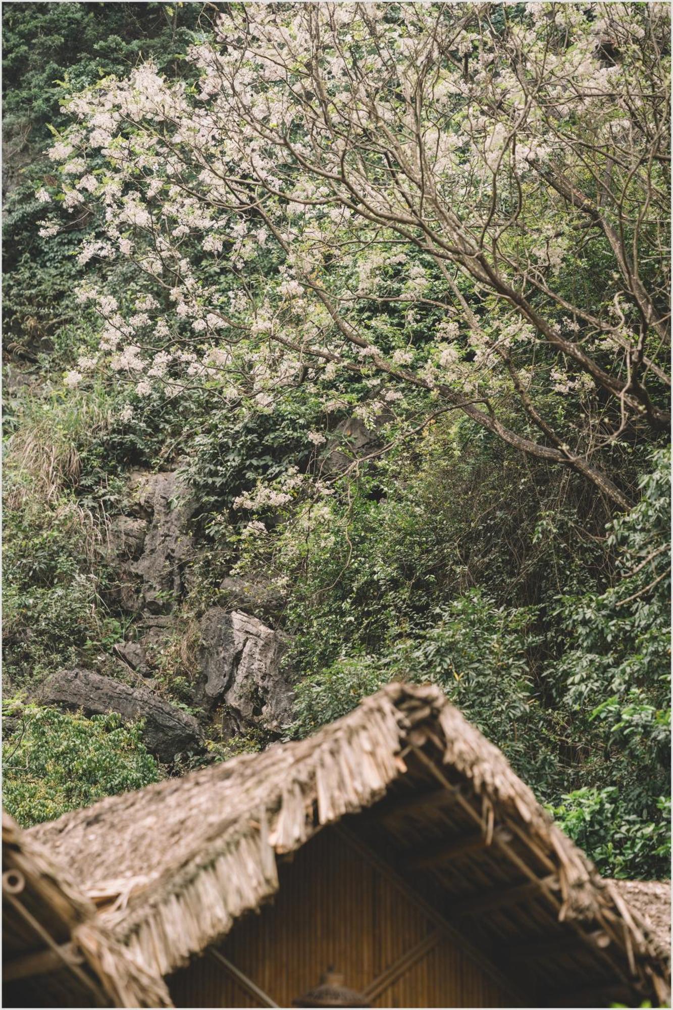 Trang An Hamlet Bungalow Ninh Binh Bagian luar foto